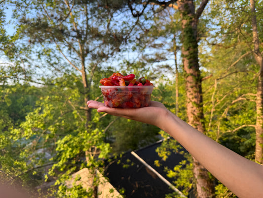 8oz Chamoy Sour Worms Pack